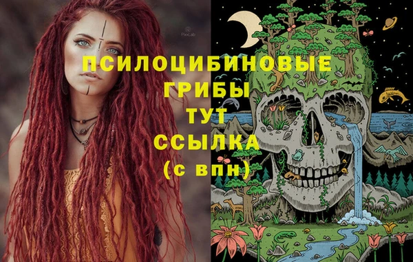 альфа пвп Михайловка