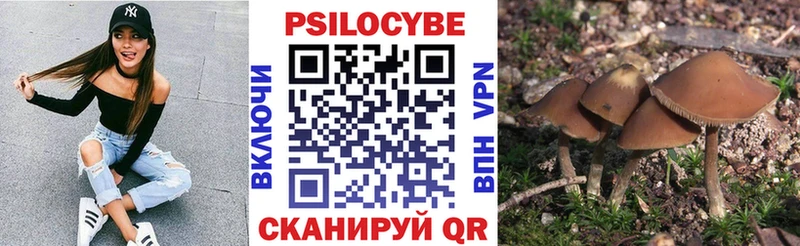 Купить где  Ялуторовск  Псилоцибиновые грибы MAGIC MUSHROOMS 
